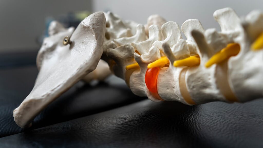 Photo by Julius Toltesi on Unsplash