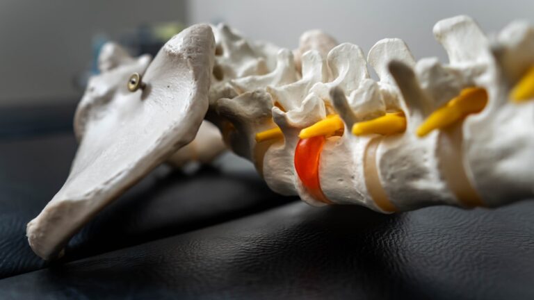 Photo by Julius Toltesi on Unsplash